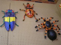 Can Bugs be Art 06