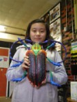 Can Bugs be Art 08