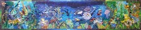 Under the Ocean and Rainforest 1  Exterior Paint &#38;nbsp;&#38;nbsp;&#38;nbsp; 1997-2001 &#38;nbsp;&#38;nbsp;&#38;nbsp; 6&#38;#39; x 36&#38;#39;