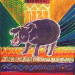 Hippopotamus